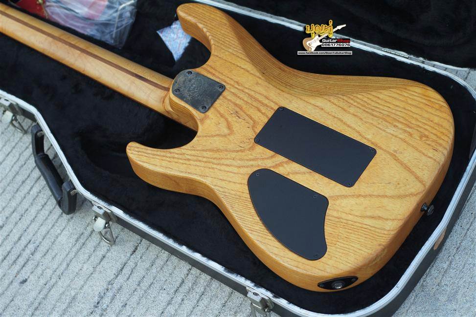 Washburn MG-113 | Mercury USA series “Performer” : บุญตู่