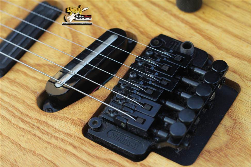 Washburn MG-113 | Mercury USA series “Performer” : บุญตู่